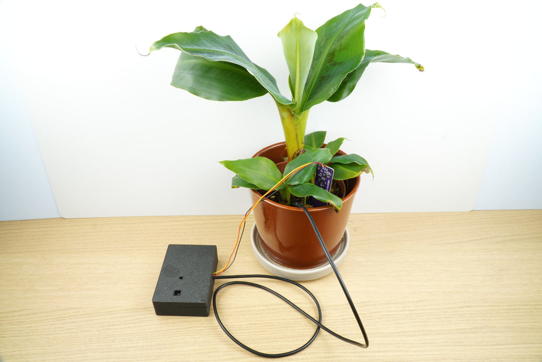 Plant Watcher, sistem de monitorizare a plantelor cu NULA DeepSleep