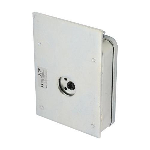 Incuietoare electrica FAAC 712650 de 12V AC pentru porti batante, placa de receptie, fara cilindru